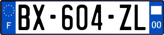 BX-604-ZL