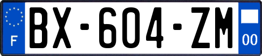 BX-604-ZM