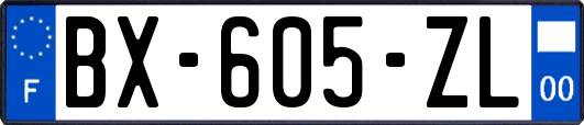 BX-605-ZL