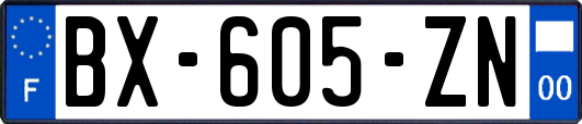 BX-605-ZN