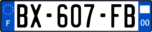 BX-607-FB