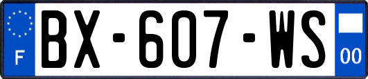 BX-607-WS