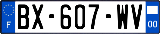 BX-607-WV