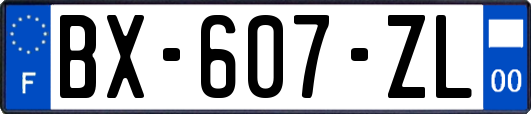 BX-607-ZL