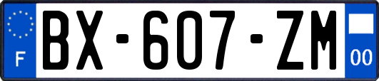 BX-607-ZM