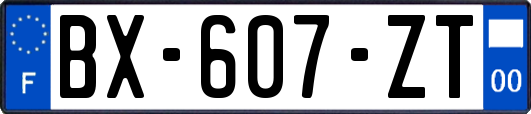 BX-607-ZT