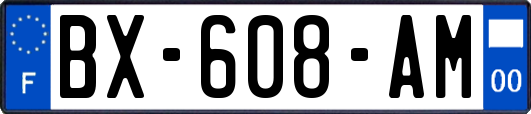 BX-608-AM