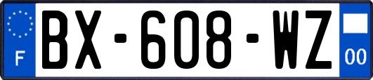 BX-608-WZ