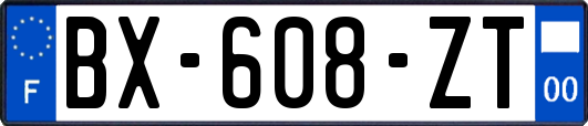 BX-608-ZT