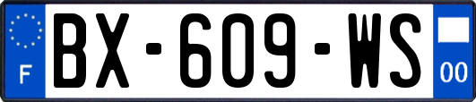 BX-609-WS