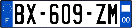 BX-609-ZM