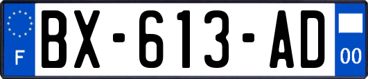 BX-613-AD