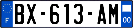 BX-613-AM