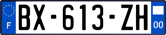 BX-613-ZH