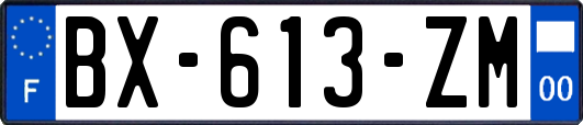 BX-613-ZM