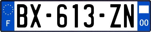 BX-613-ZN