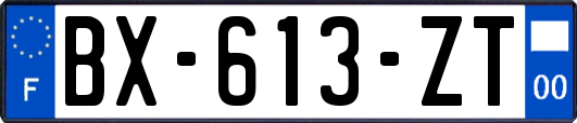 BX-613-ZT