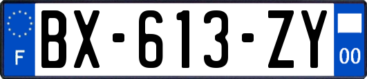 BX-613-ZY