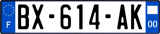 BX-614-AK