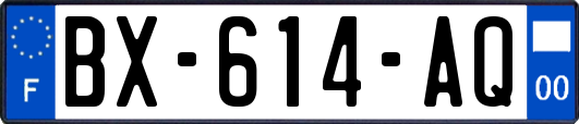 BX-614-AQ