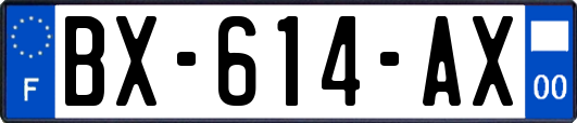 BX-614-AX