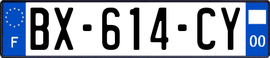 BX-614-CY