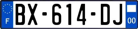 BX-614-DJ