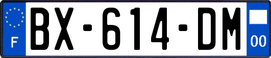 BX-614-DM