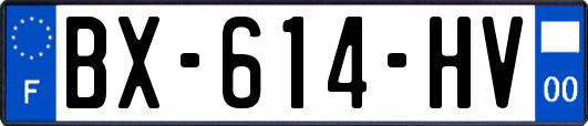 BX-614-HV