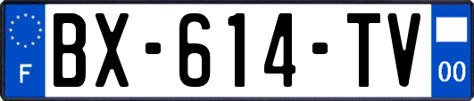 BX-614-TV