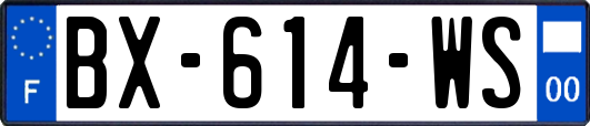 BX-614-WS