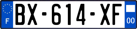 BX-614-XF