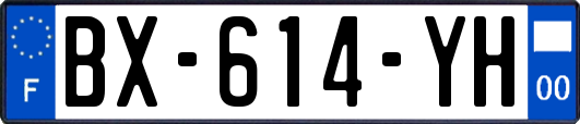 BX-614-YH