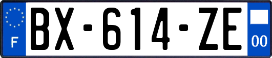 BX-614-ZE