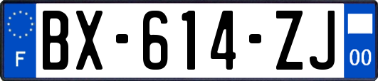 BX-614-ZJ