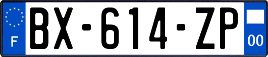 BX-614-ZP