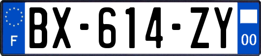 BX-614-ZY