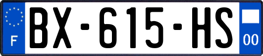 BX-615-HS