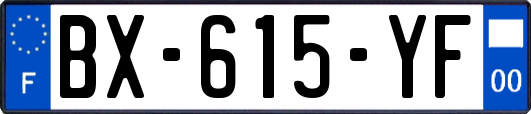 BX-615-YF