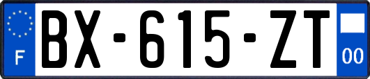 BX-615-ZT