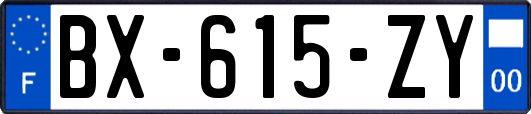 BX-615-ZY