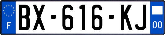 BX-616-KJ