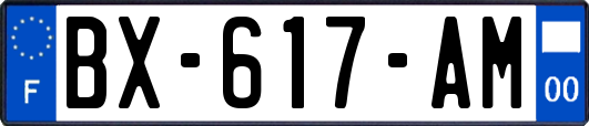 BX-617-AM