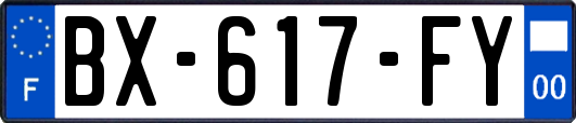 BX-617-FY