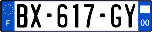 BX-617-GY