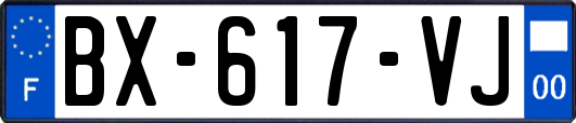 BX-617-VJ