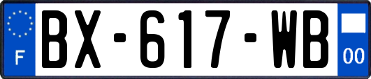 BX-617-WB