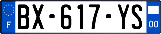 BX-617-YS