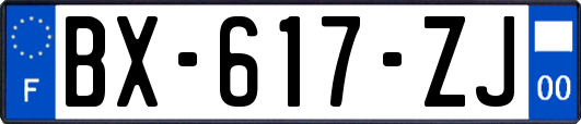 BX-617-ZJ