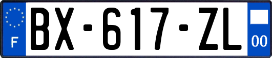 BX-617-ZL